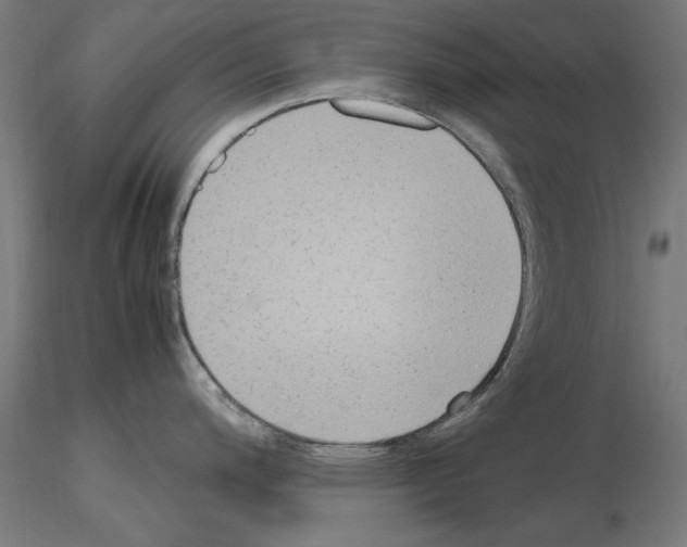 X0000115601200200912221139