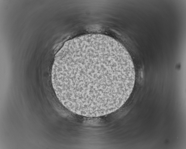 X0000115601201200912221139