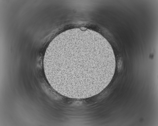 X0000115601204200912221139