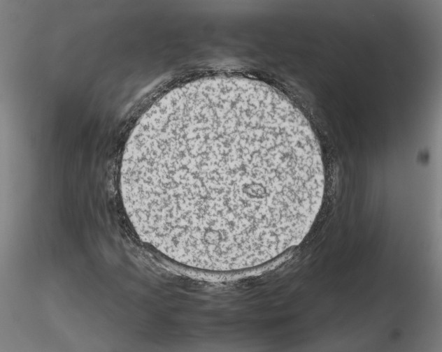 X0000115601205200912221139