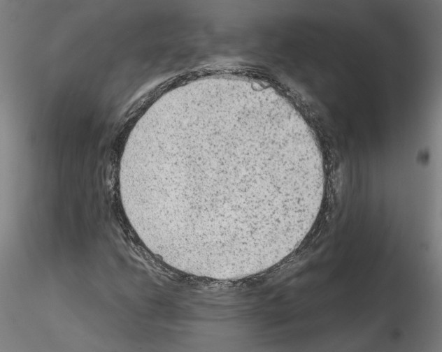 X0000115601206200912221139