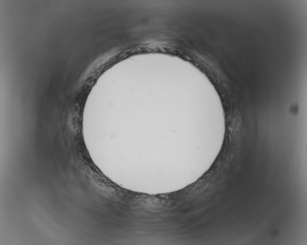 X0000115601207200912221139