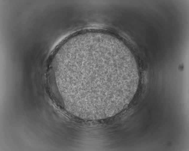 X0000115601208200912221139