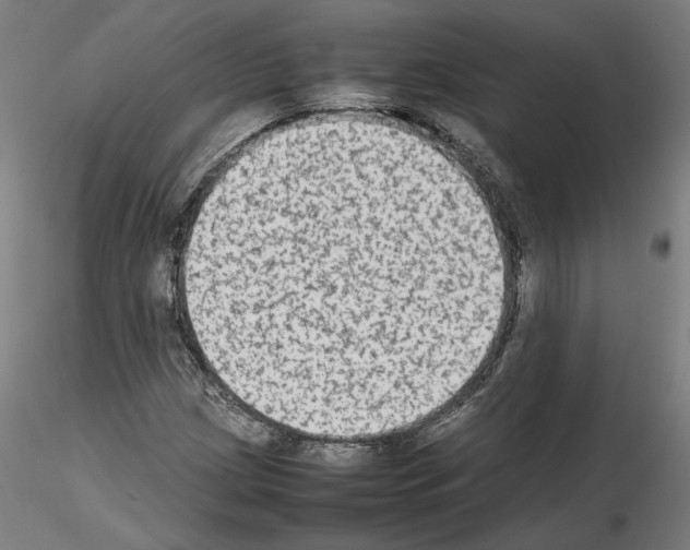 X0000115601209200912221139