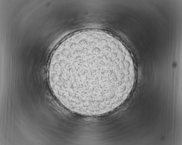 X0000115601212200912221139