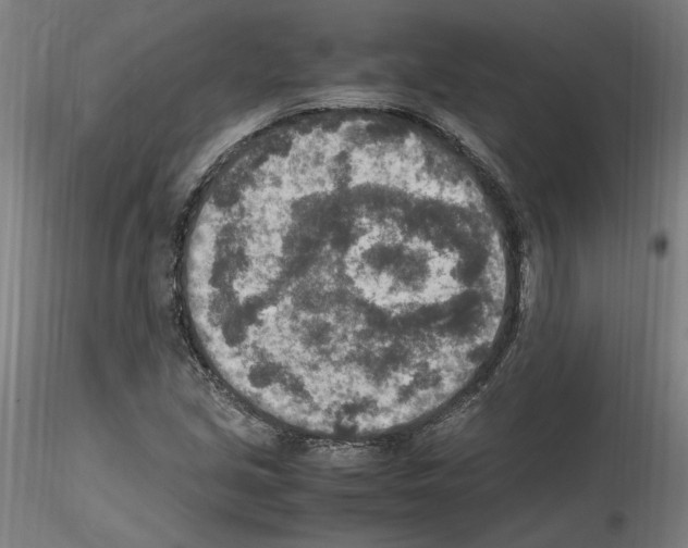 X0000115601213200912221139