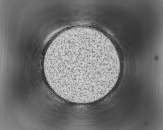 X0000115601214200912221139