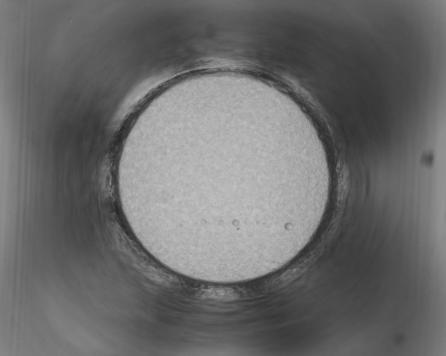 X0000115601215200912221139