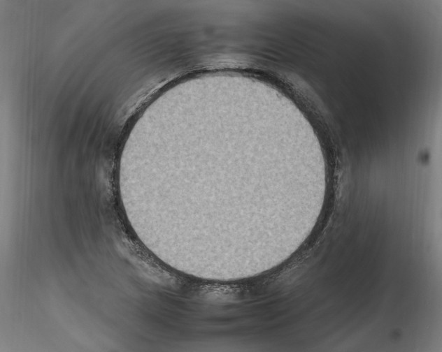 X0000115601217200912221139