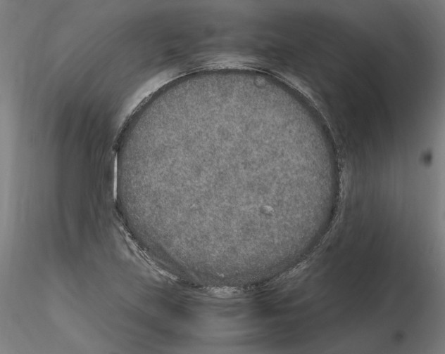 X0000115601219200912221139