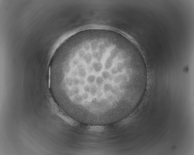 X0000115601223200912221139