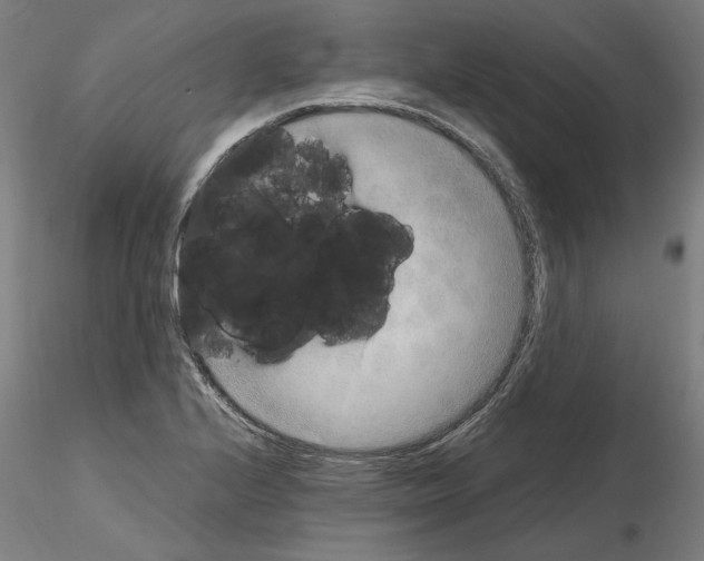 X0000115601224200912221139