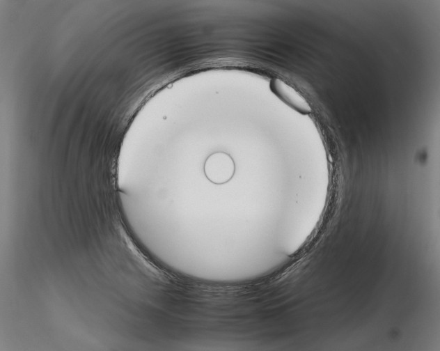 X0000115601225200912221139