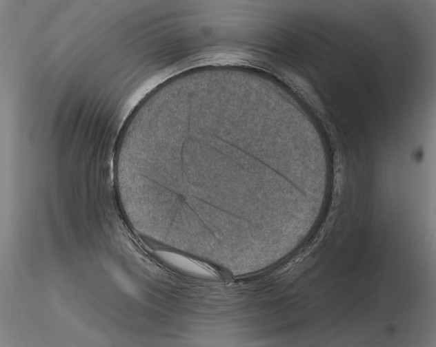 X0000115601226200912221139