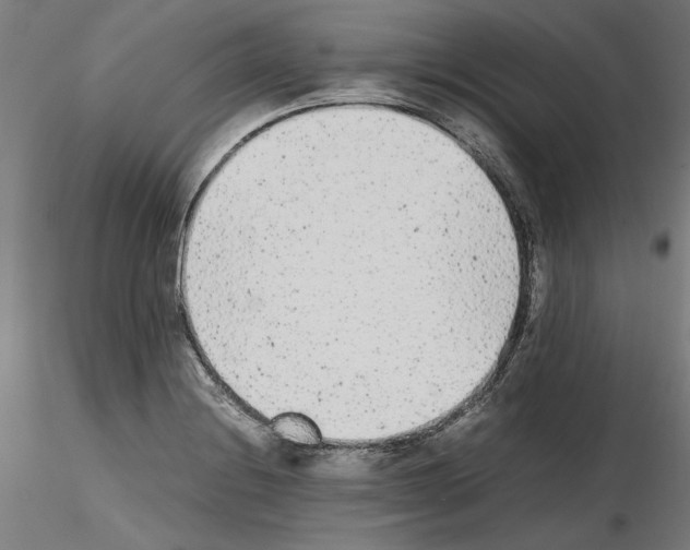 X0000115601228200912221139