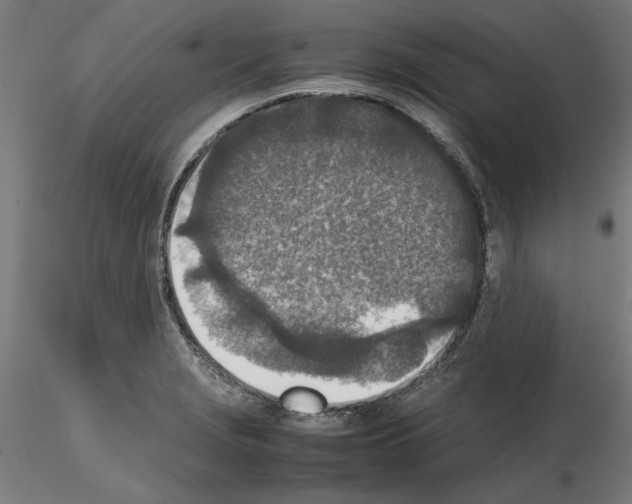 X0000115601229200912221139