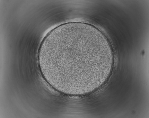 X0000115601230200912221139