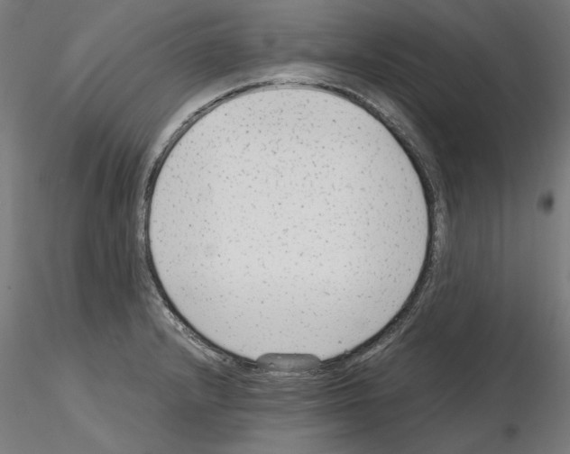 X0000115601232200912221139