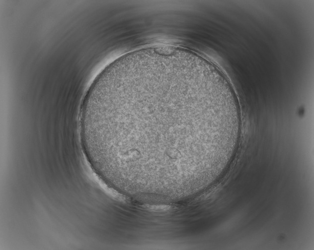 X0000115601235200912221139