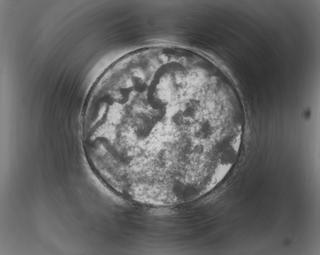 X0000115601239200912221139