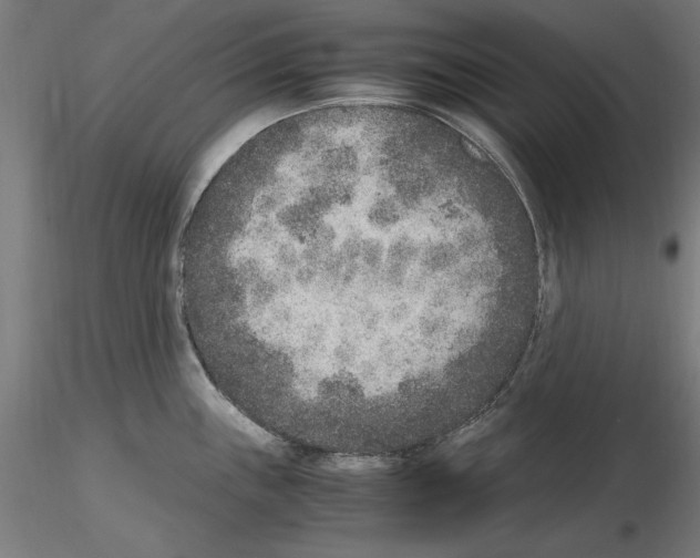 X0000115601243200912221139