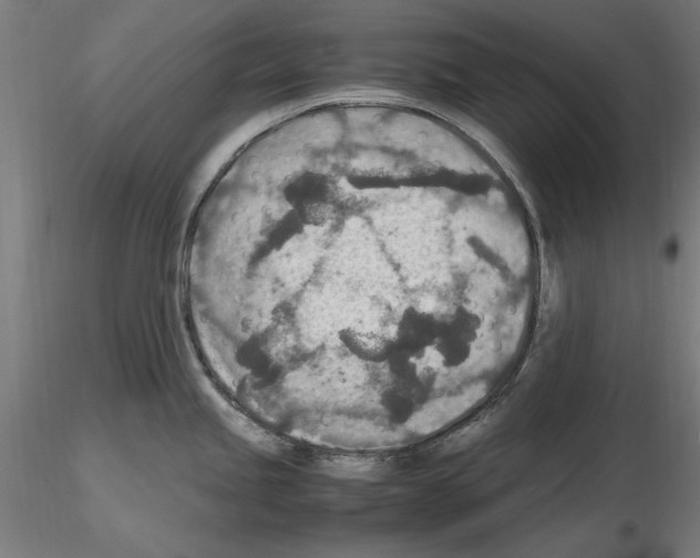 X0000115601245200912221139