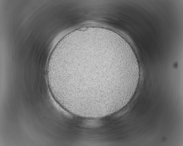 X0000115601247200912221139