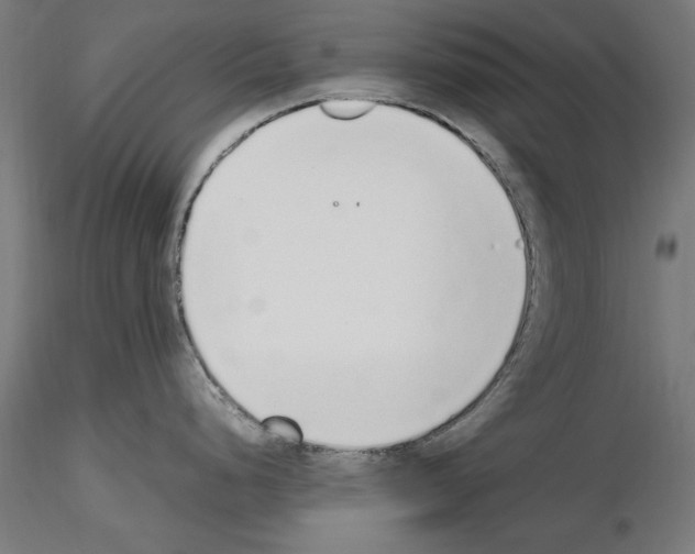 X0000115601248200912221139