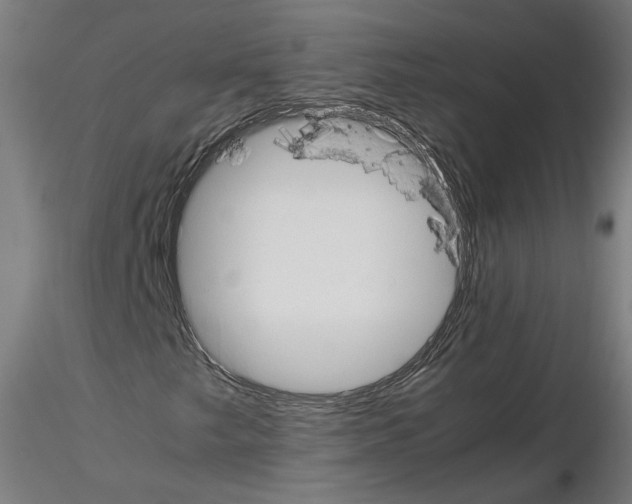 X0000115601249200912221139