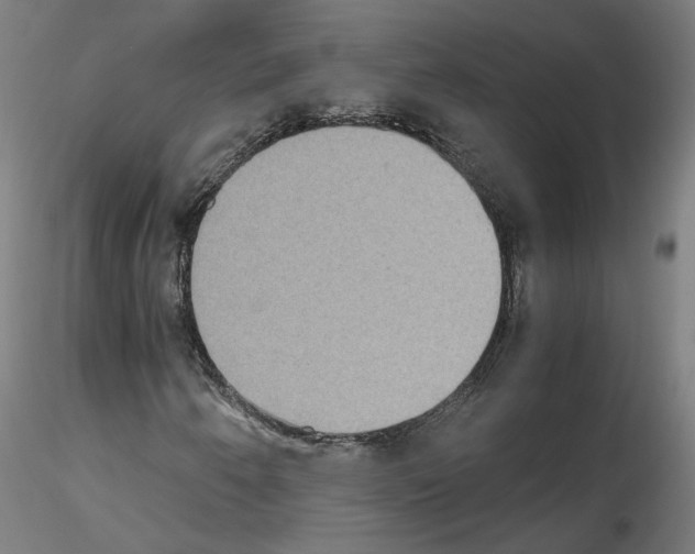 X0000115601250200912221139