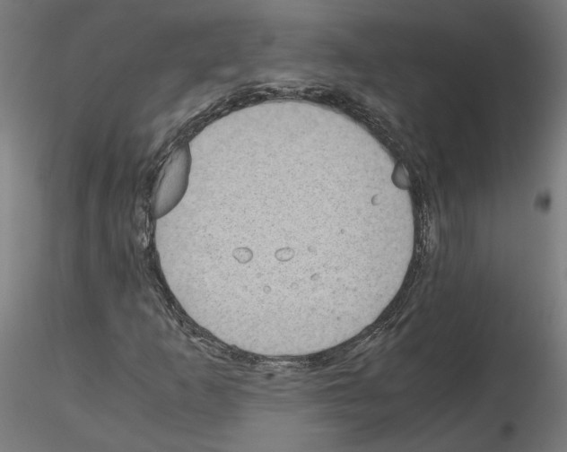 X0000115601253200912221139