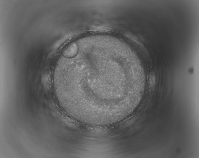 X0000115601254200912221139