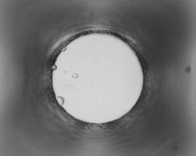 X0000115601255200912221139