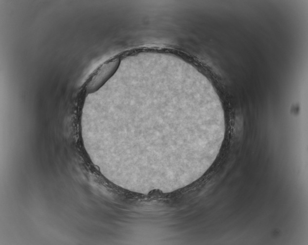 X0000115601256200912221139