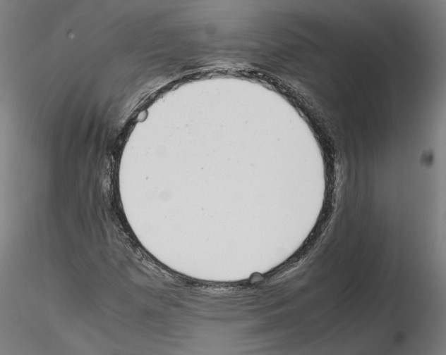 X0000115601257200912221139