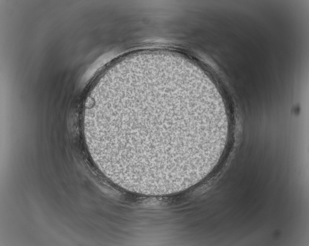 X0000115601259200912221139