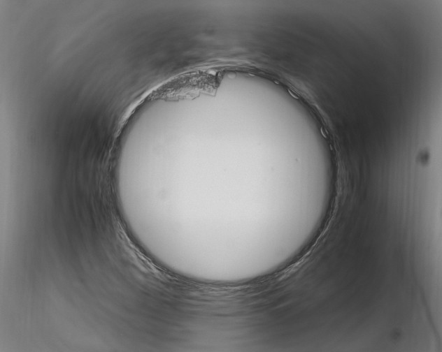 X0000115601260200912221139