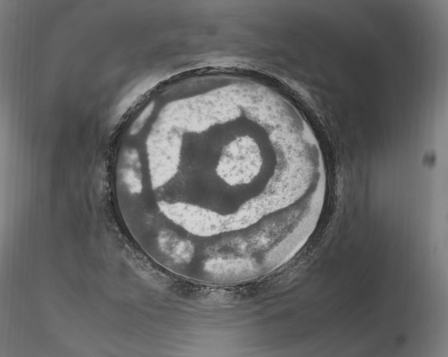 X0000115601263200912221139