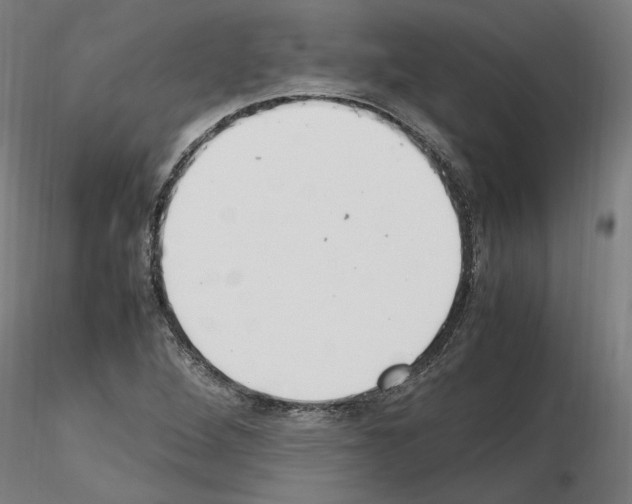 X0000115601264200912221139