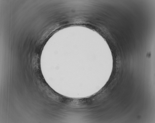 X0000115601265200912221139