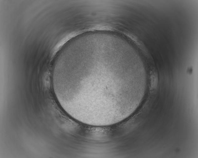 X0000115601266200912221139