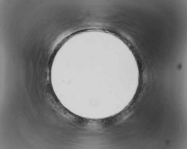 X0000115601267200912221139