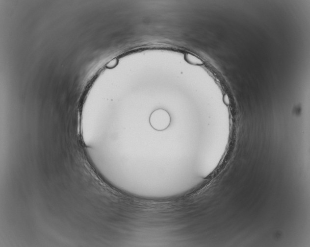 X0000115601269200912221139