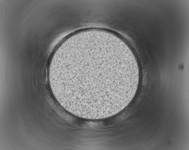 X0000115601271200912221138