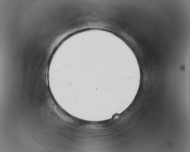 X0000115601272200912221138