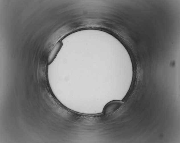 X0000115601273200912221138