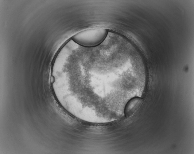 X0000115601276200912221138