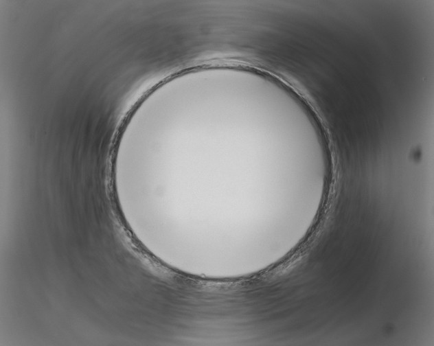 X0000115601277200912221138