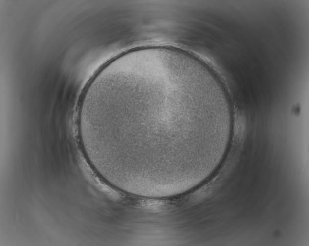 X0000115601278200912221138