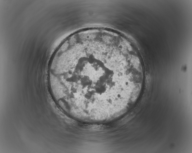 X0000115601279200912221138